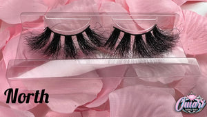 5D Lashes North